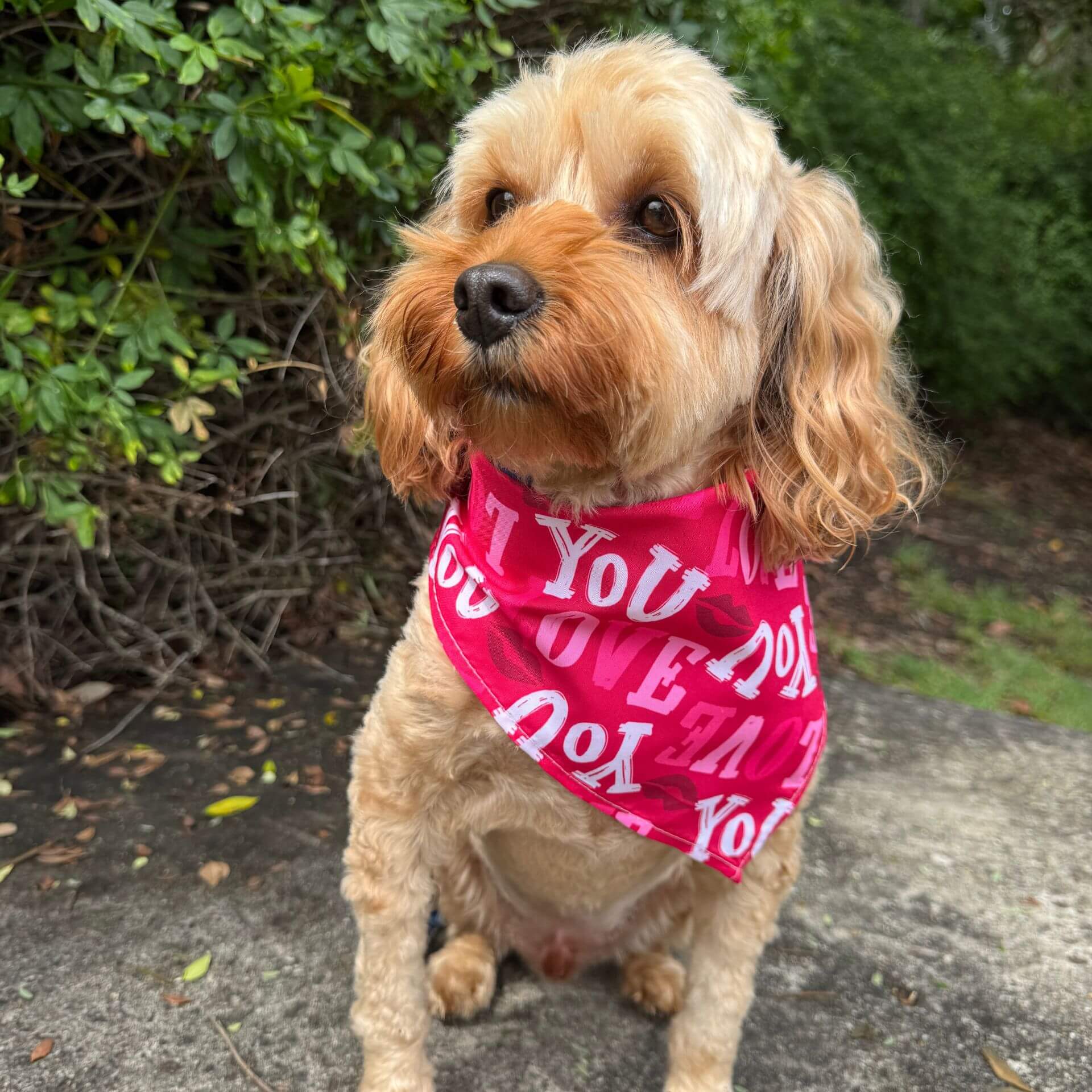 love you dog bandana let's pawty