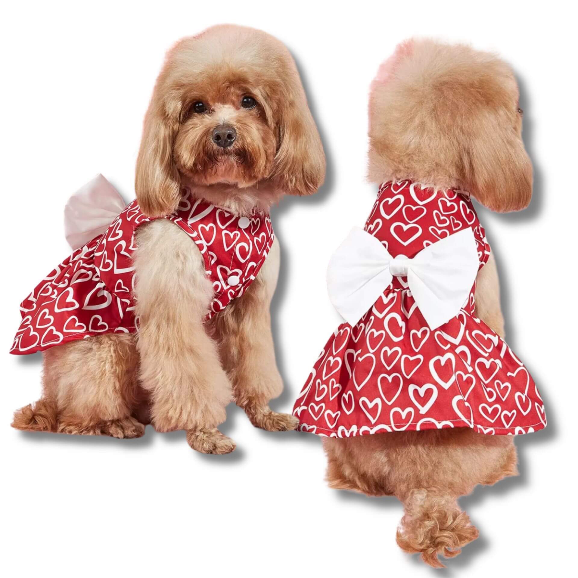 valentine dog dress with hearts let's pawty