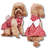 valentine dog dress with hearts let's pawty