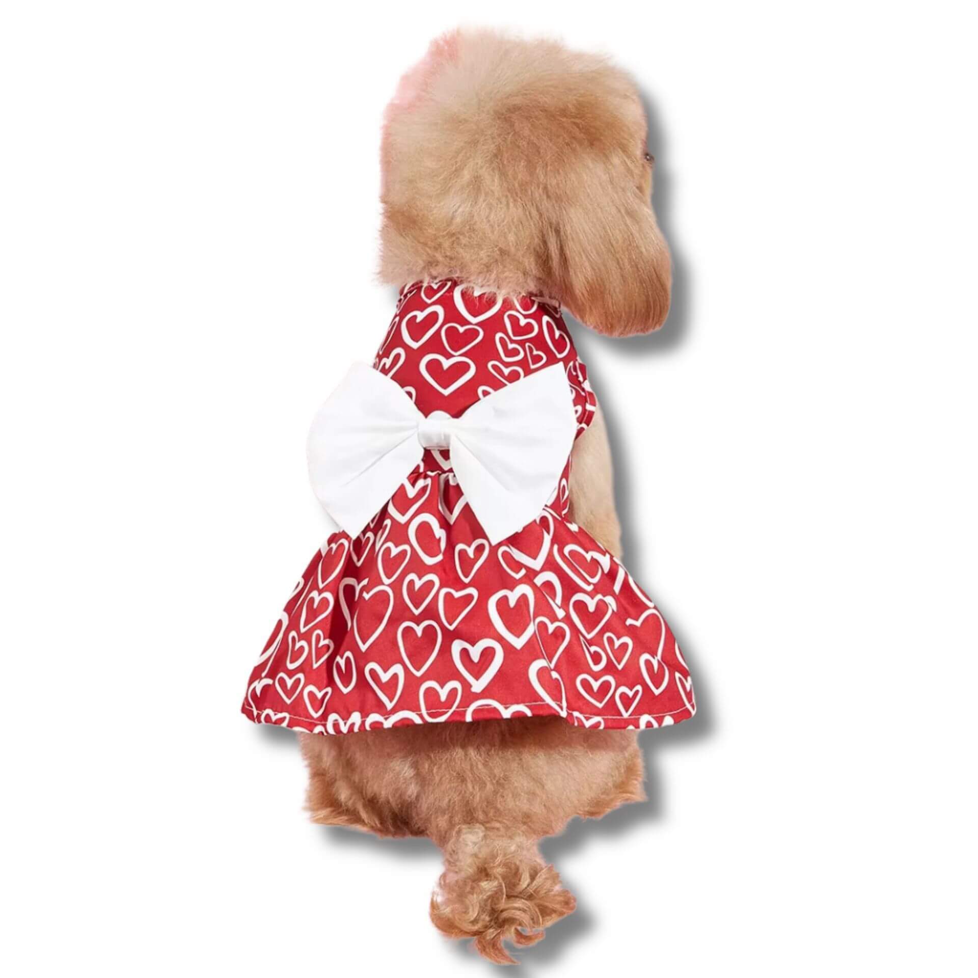 valentine dog dress with hearts let's pawty