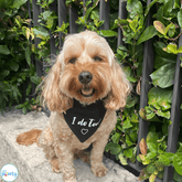 I do too reversible dog bandana let's pawty