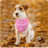 It's my birthday mother puppets, reversible dog bandana, tie up let's pawty