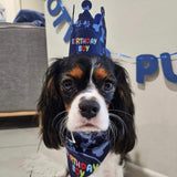 it's my birthday motherpuppers dog party banner set