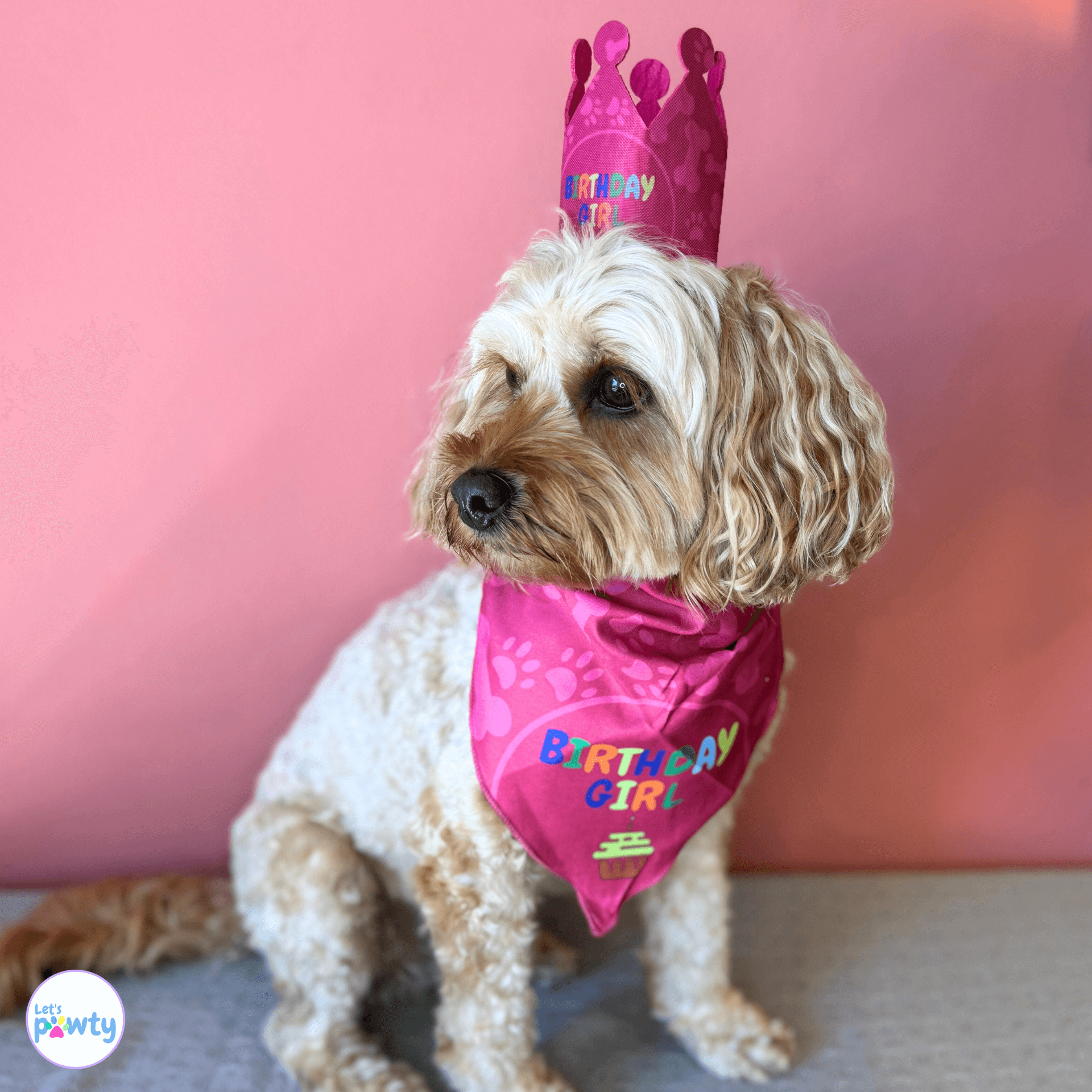 it's my birthday mother puppers dog party decoration set