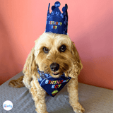 it's my birthday motherpuppers dog party banner set