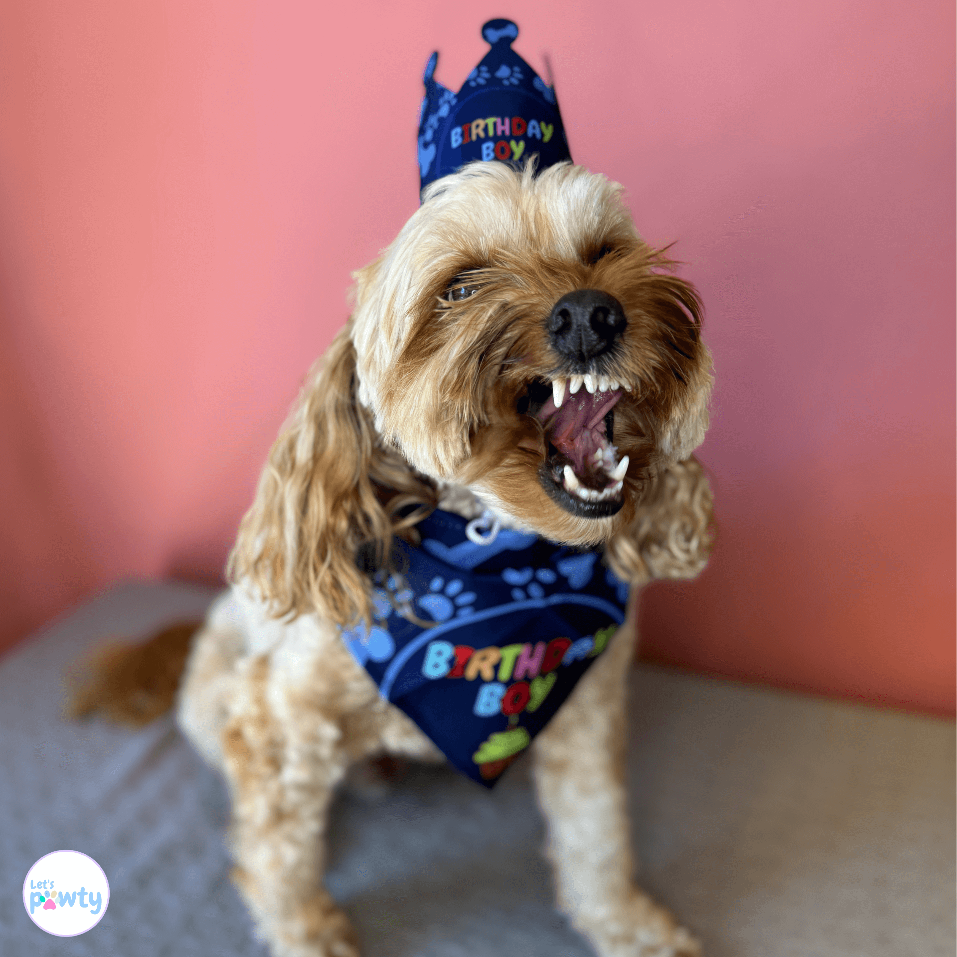 it's my birthday motherpuppers dog party banner set