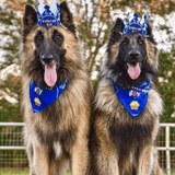 it's my birthday motherpuppers dog party banner set