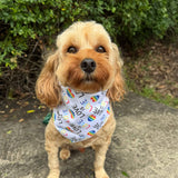 love is love dog bandana let's pawty