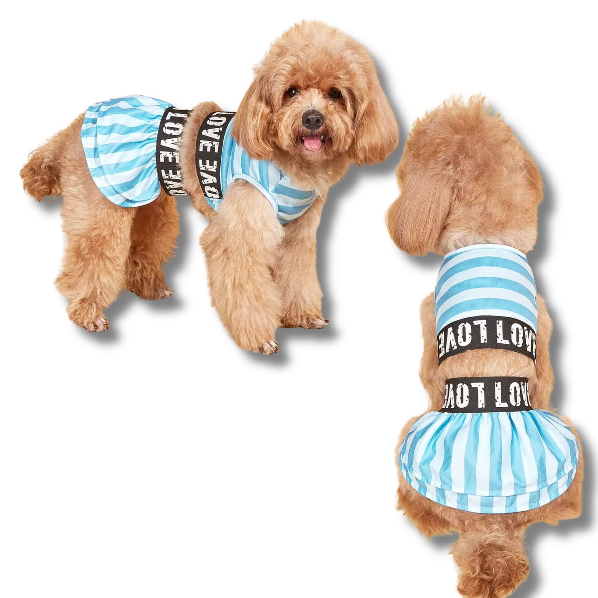 blue striped dog dress let's pawty