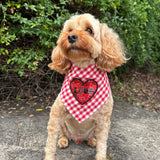 red gingham love dog banana