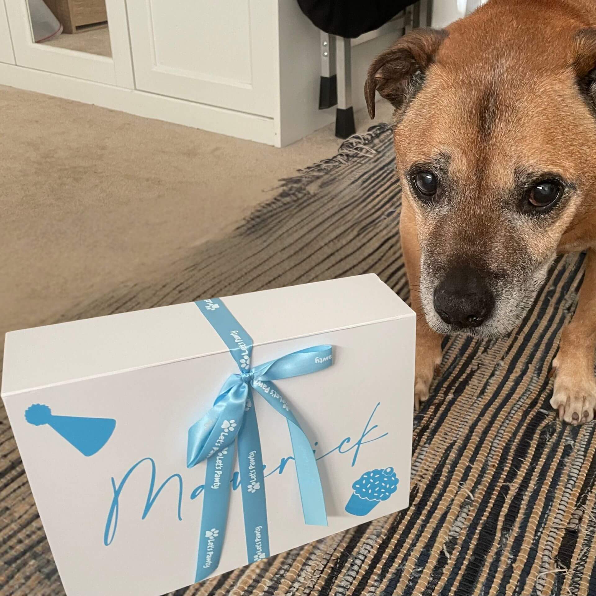 personalised dog gift box, let's pawty