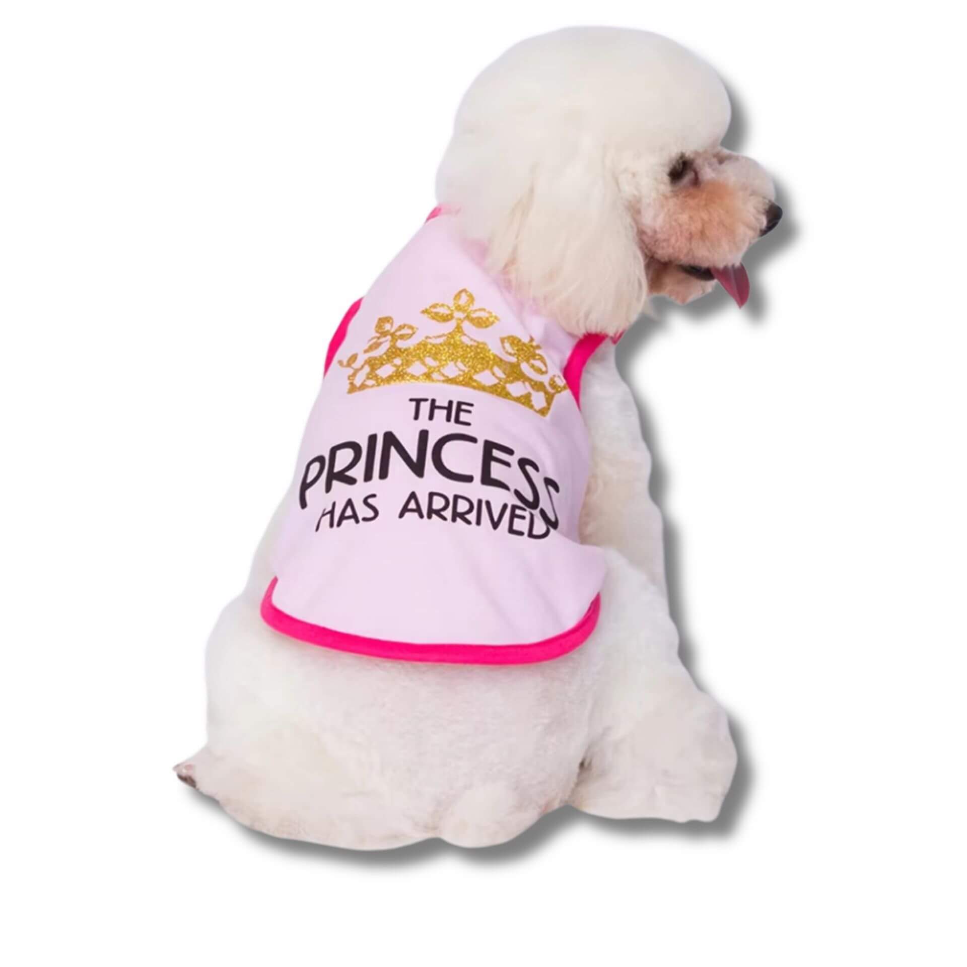 the princess has arrived dog t-shirt pink, let's pawty
