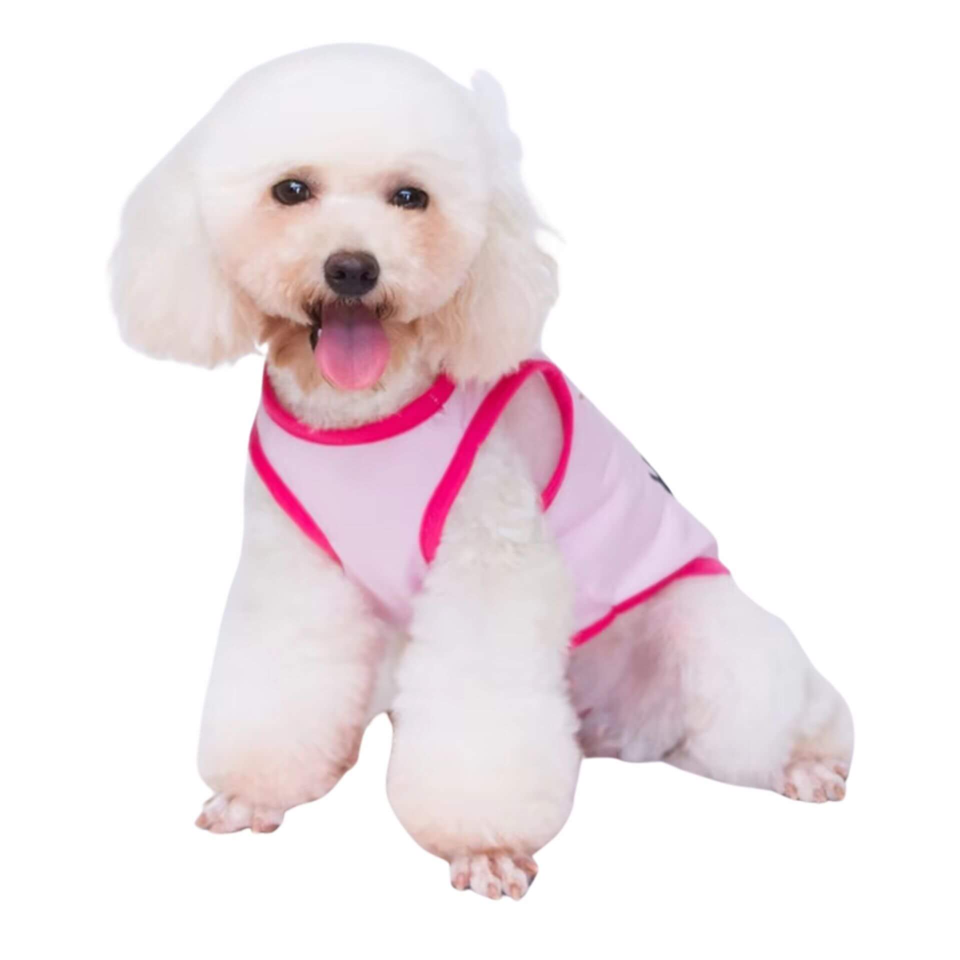 the princess has arrived dog t-shirt pink, let's pawty
