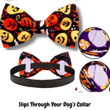 Pumpkin & Bats Halloween Dog Bow