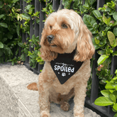 dog bandana clothing accessory, let's pawty