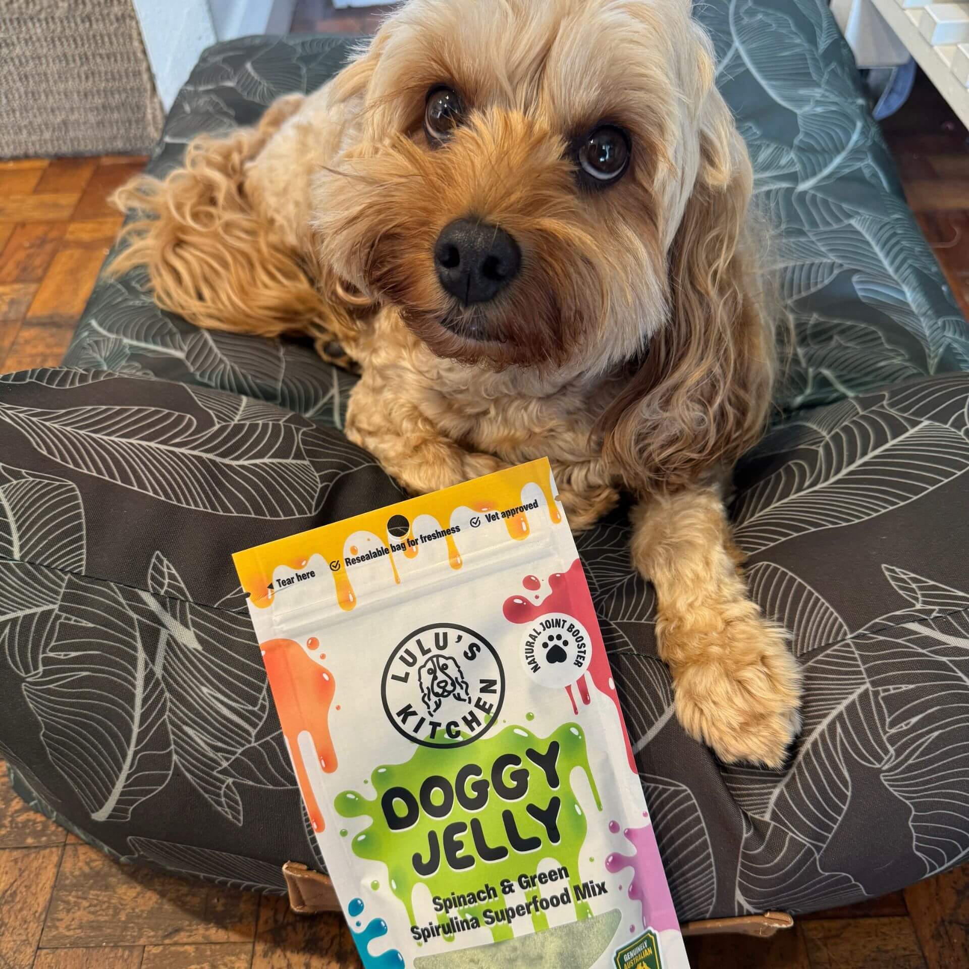 Jelly and mould dog treat bundle let's pawty