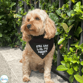 Still live with my parents reversible dog bandana, let's pawty