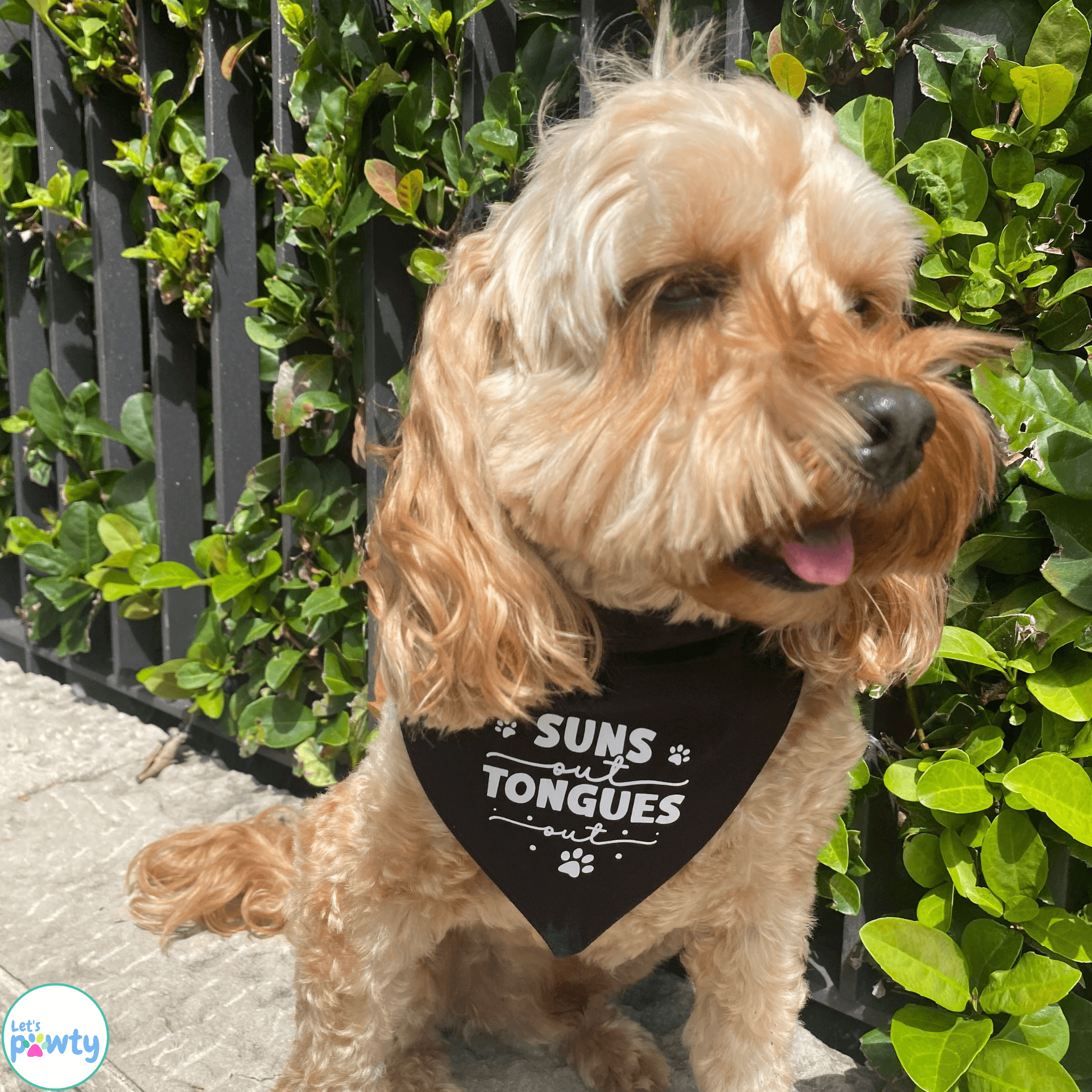 Suns out tongues out dog bandana reversible let's pawty