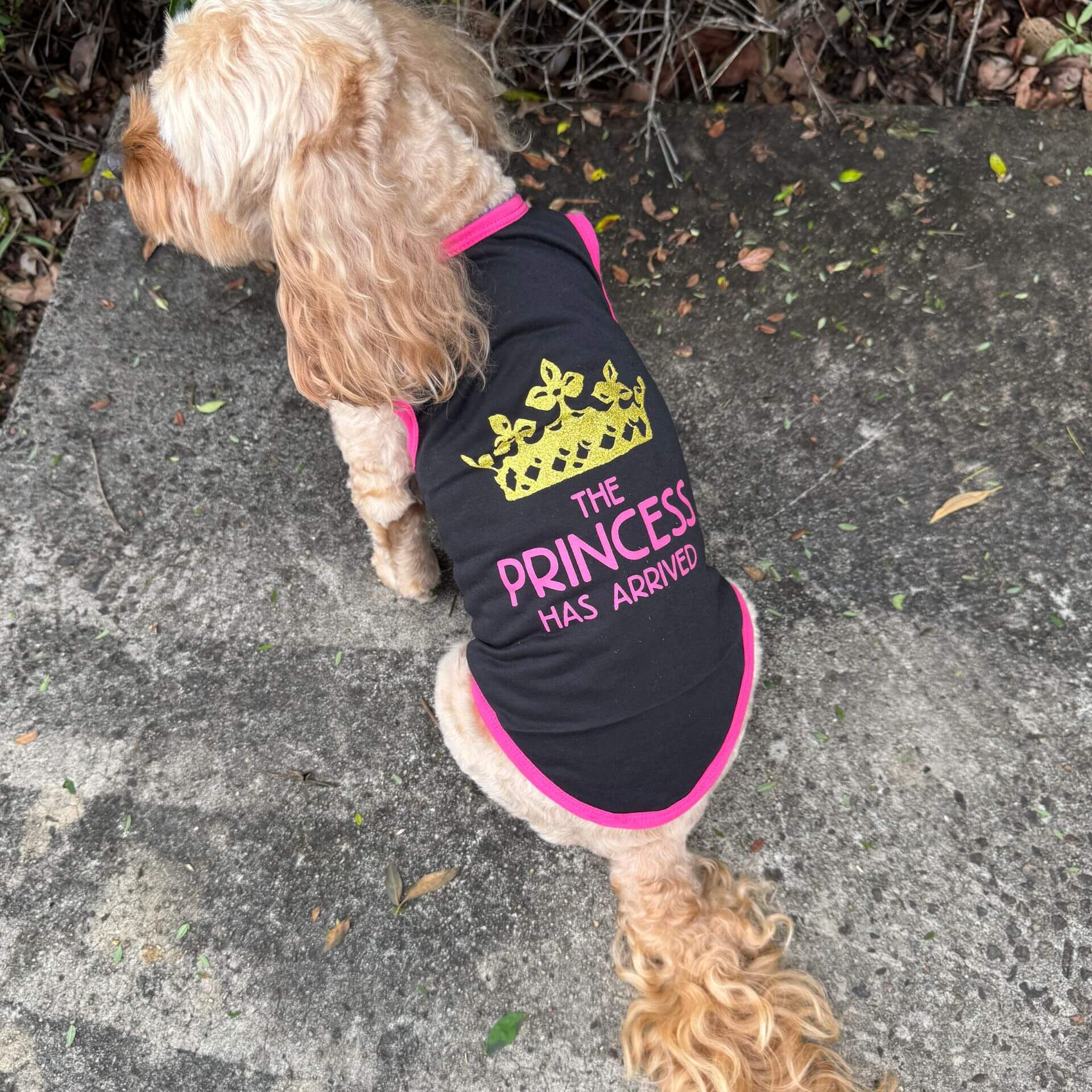 small breed dog tshirt, the princess has arrived