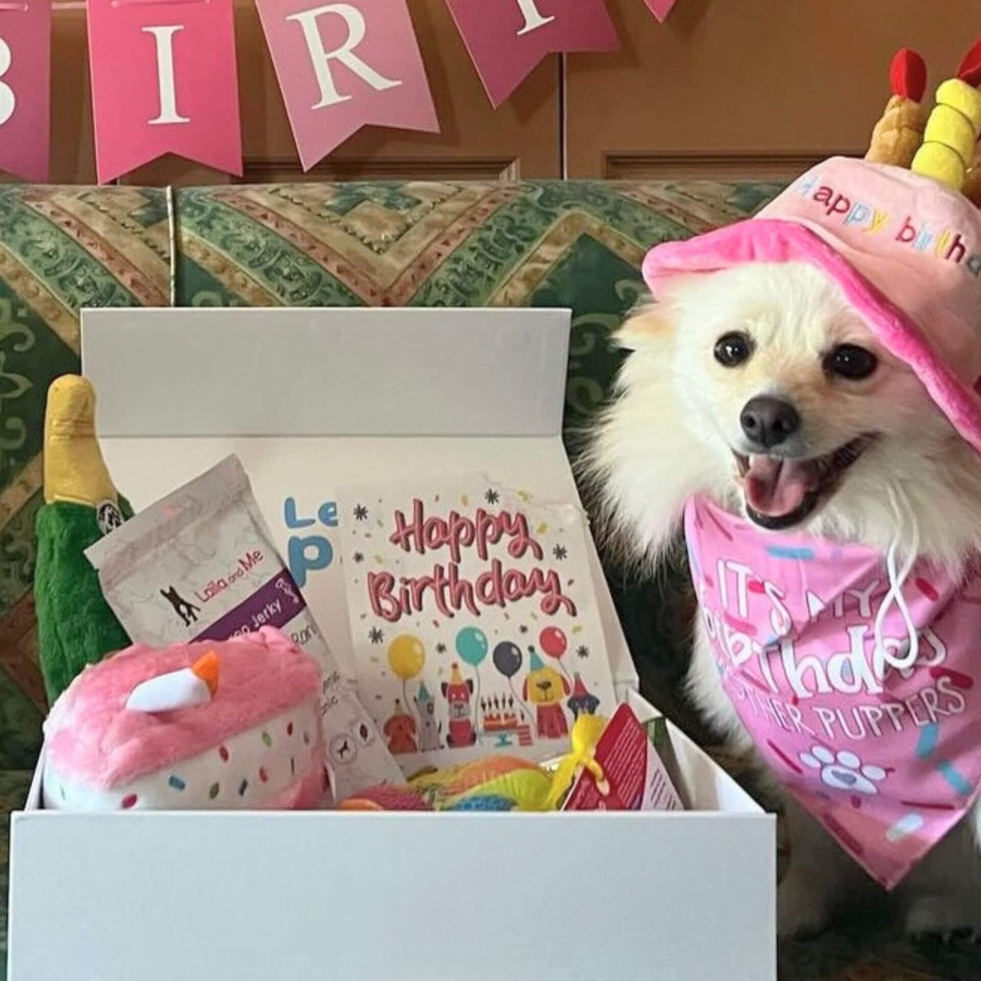 ultimate dog birthday gift box let's pawty