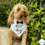 wedding best dog fashion accessory let's pawty , black or white