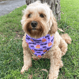 Reversible dog bandana, Let's pawty dog fashion