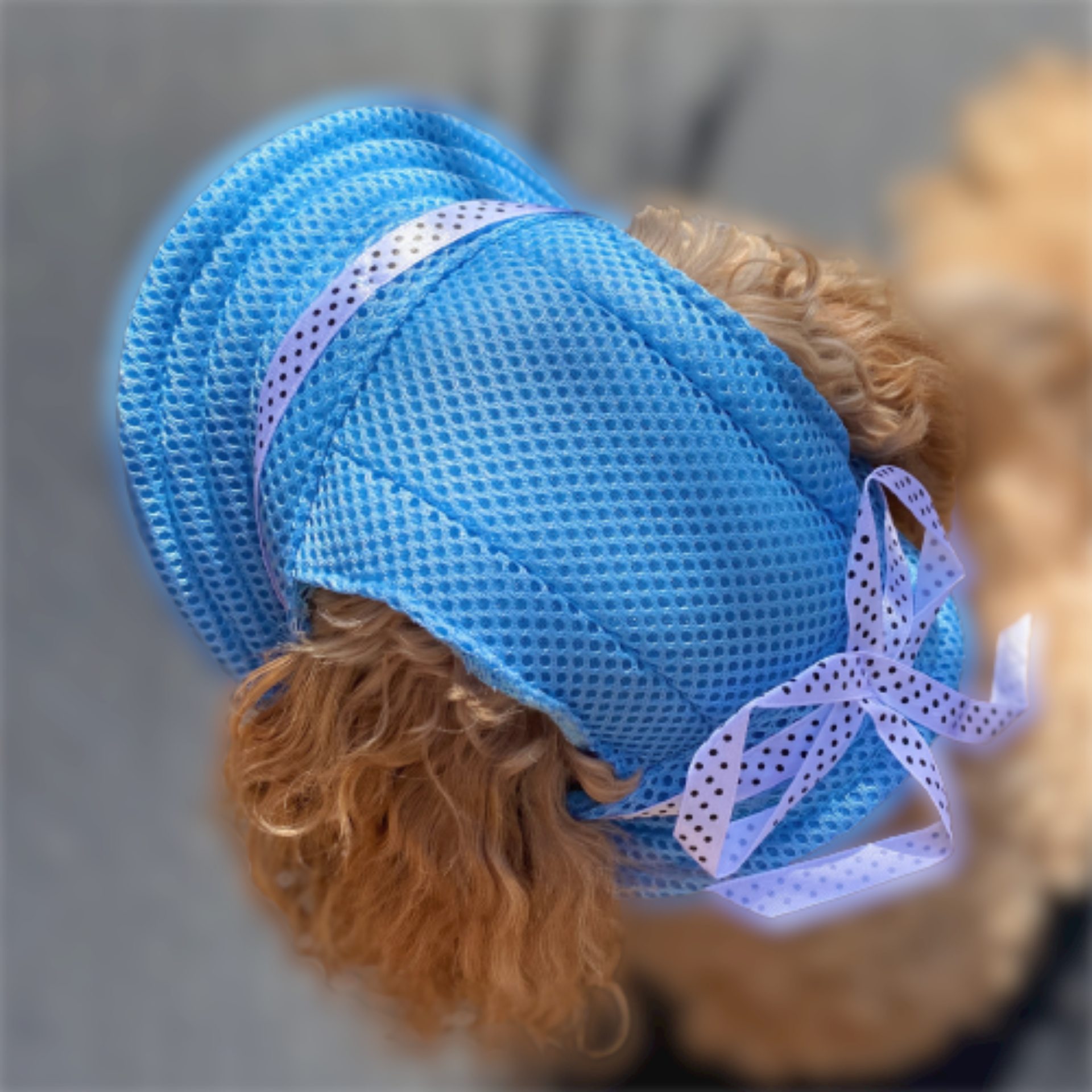 Protective sun hat for dogs to help shade the eyes let's pawty
