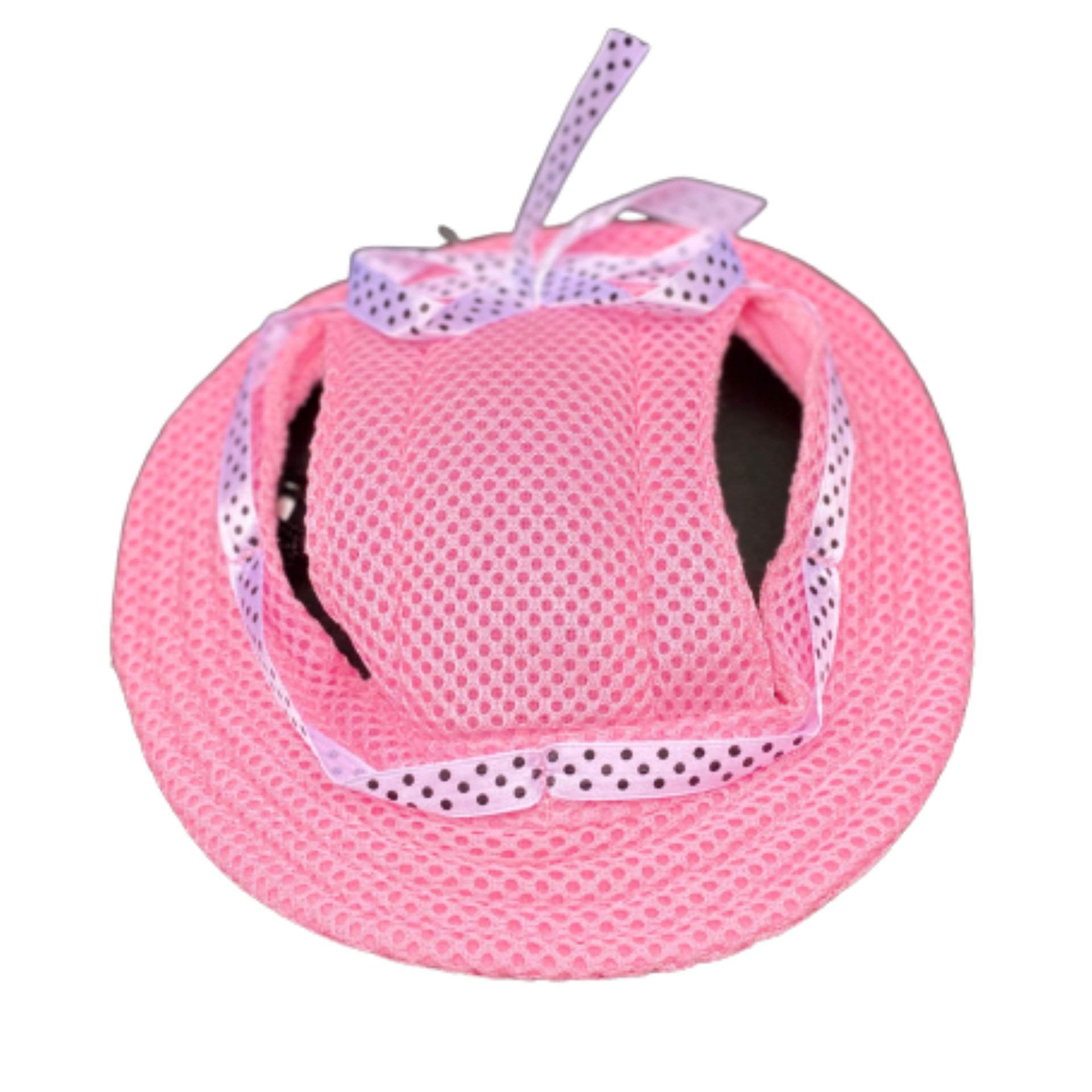 Protective sun hat for dogs to help shade the eyes let's pawty
