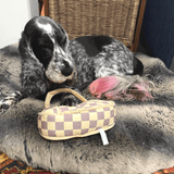 designer dog toy Let's Pawty Sydney