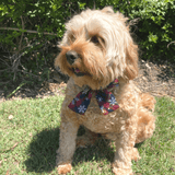 Christmas themed dog bow let's pawty
