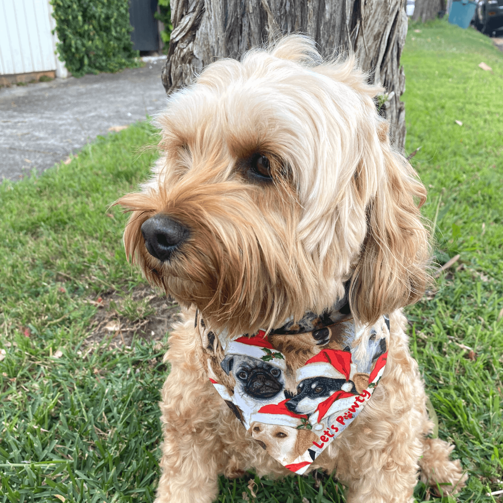 Christmas themed reversible dog bandana, fashion dog accessory