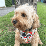 Christmas themed reversible dog bandana, fashion dog accessory