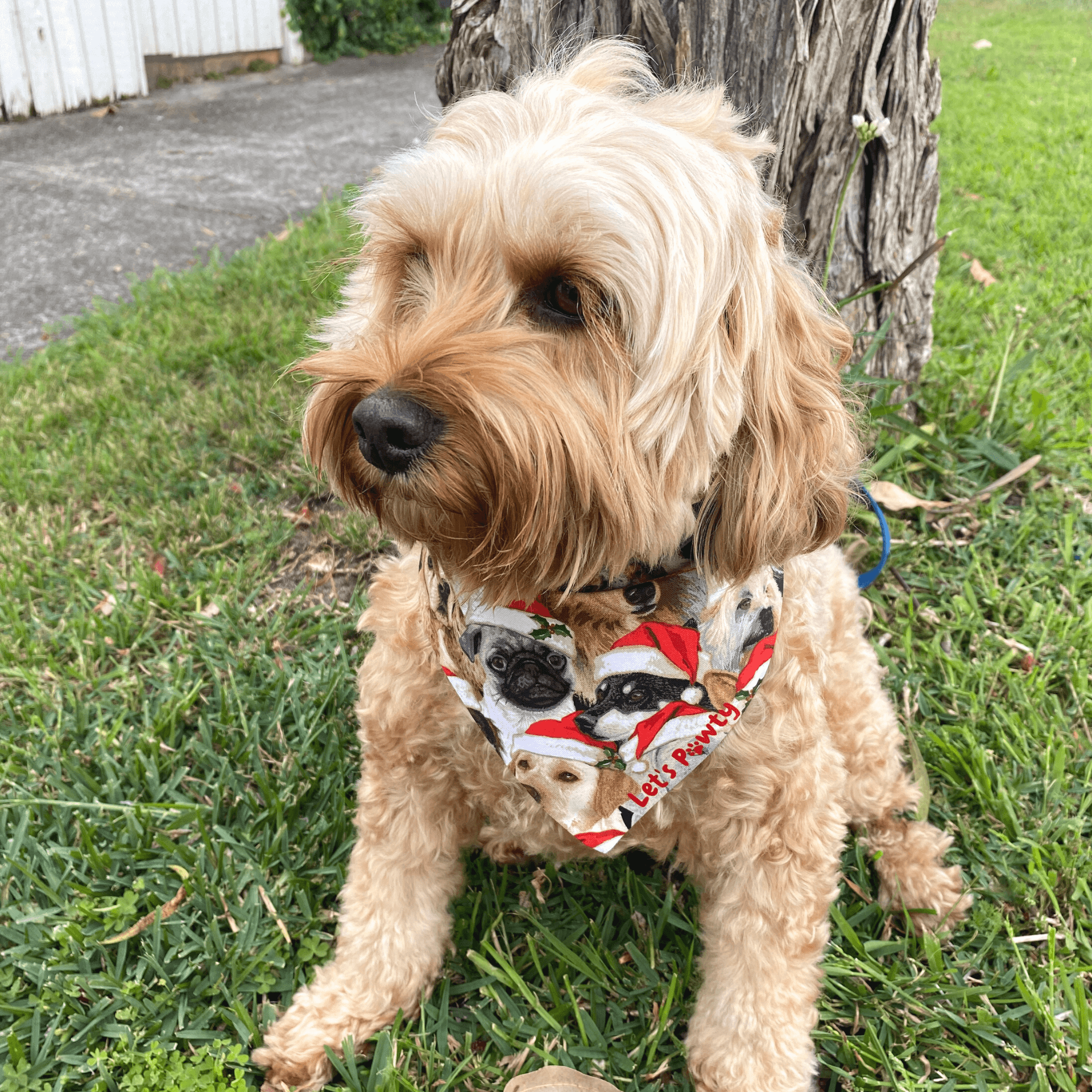 Christmas themed reversible dog bandana, fashion dog accessory
