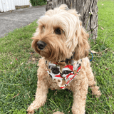 Christmas themed reversible dog bandana, fashion dog accessory