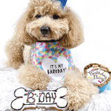 dog birthday bone cookie, dog celebration