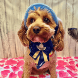 Protective sun hat for dogs to help shade the eyes let's pawty