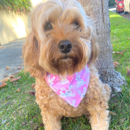 Reversible easter themed dog bandana, handmade, let's pawty