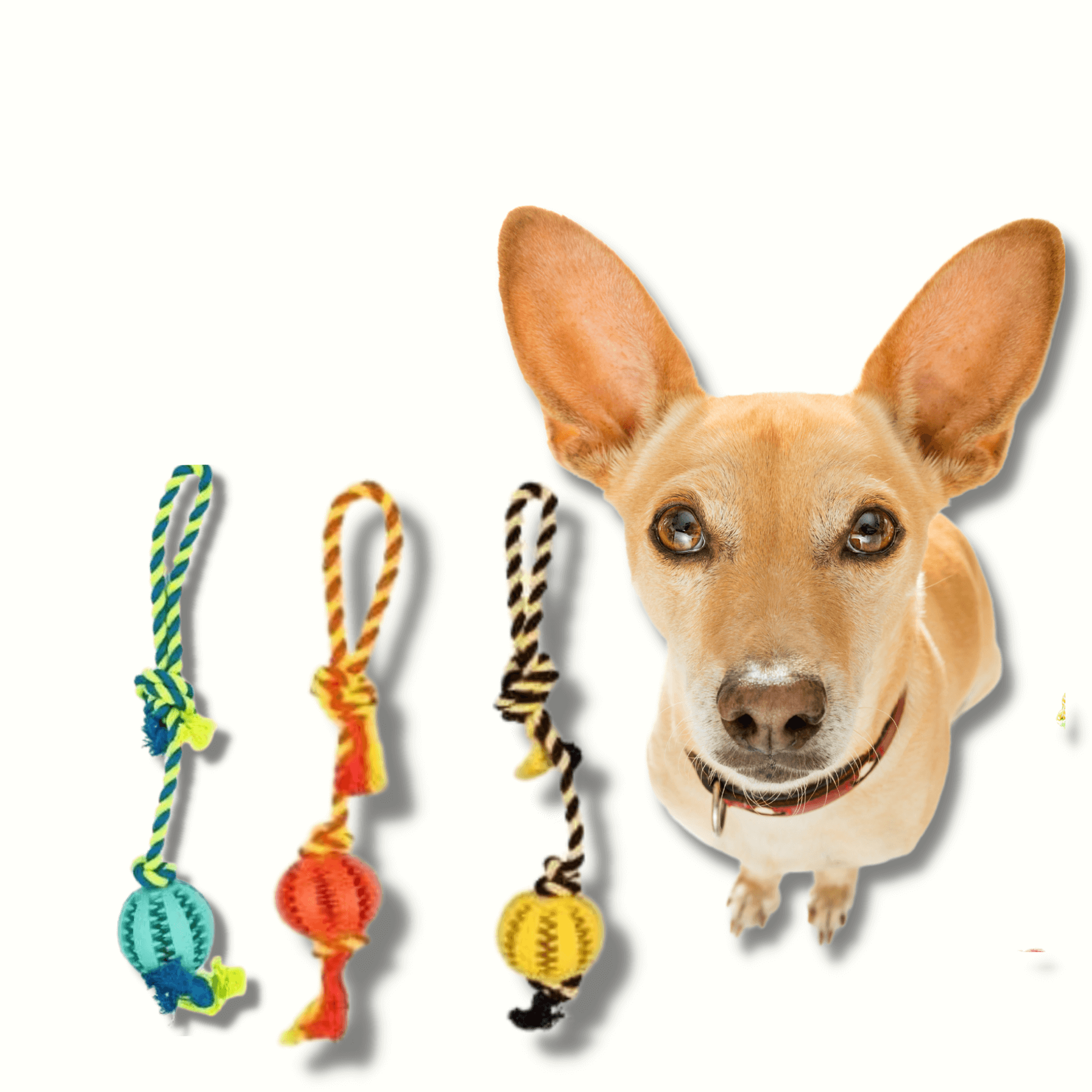 Enrichment dog treat ball with rope