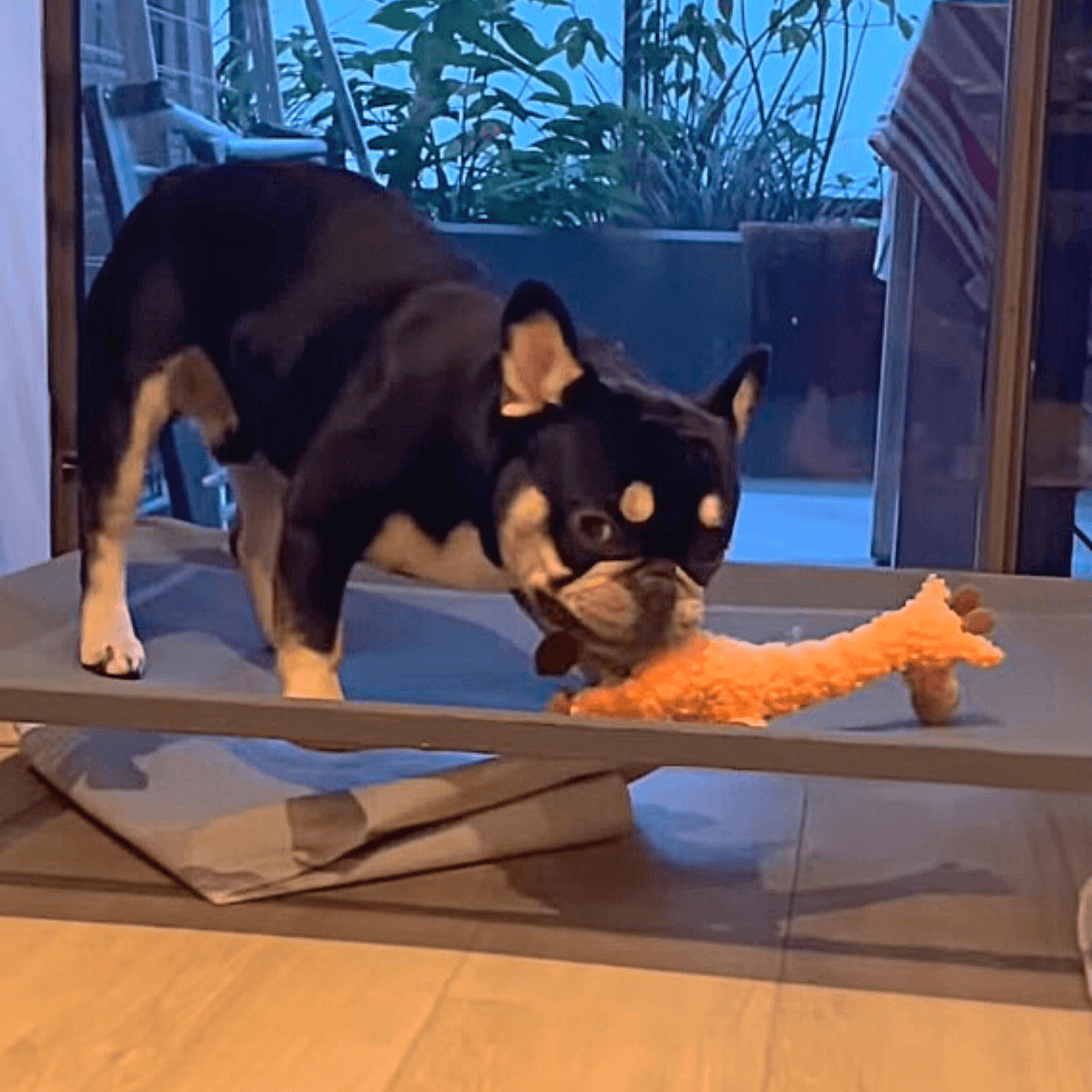 KONG giraffe dog toy, shaker, let's pawty