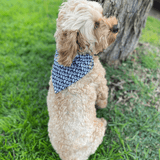 halloween themed, dog reversible bandana, handmade, let's pawty