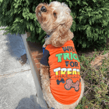 Halloween themed dog t-shirt, dog clothing