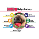 KONG interactive medium dog toy