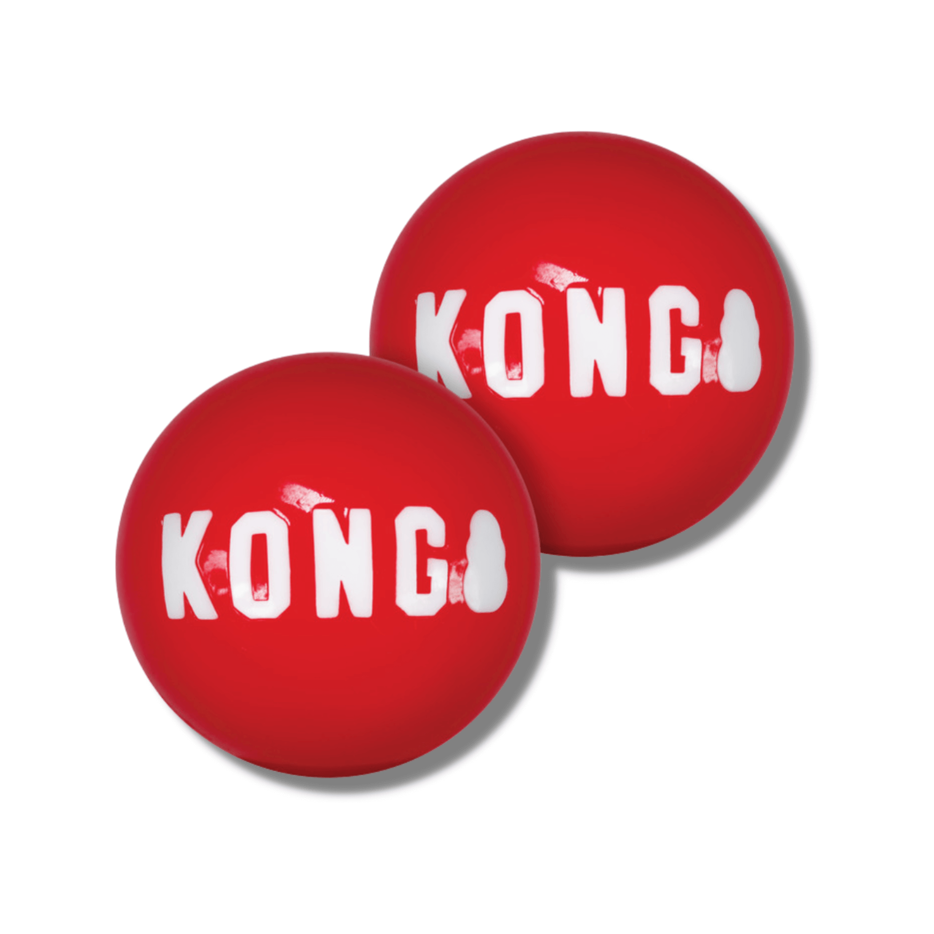 kong signature balls dog toy in Let's Pawty
