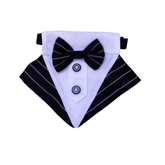 Pinstripe dog bandana fashion accessory furbaby Australia