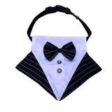Pinstripe dog bandana fashion accessory furbaby Australia