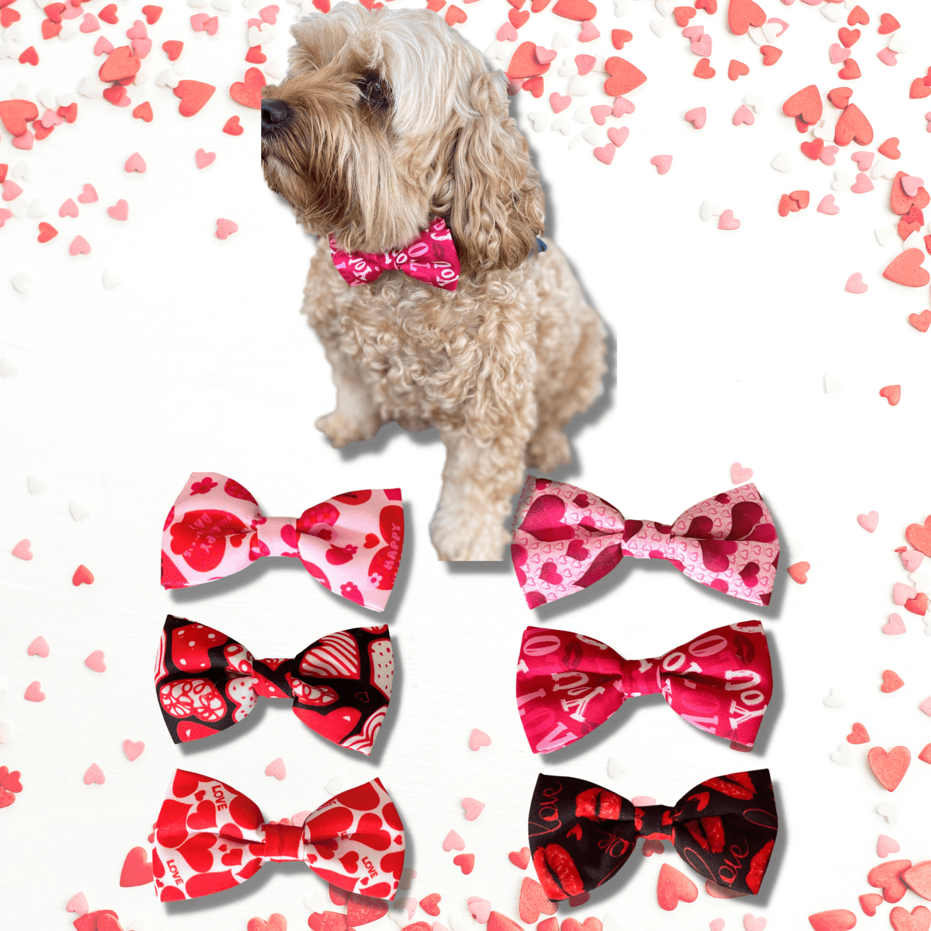 Dog bow with hearts fashion accessory, let's pawty