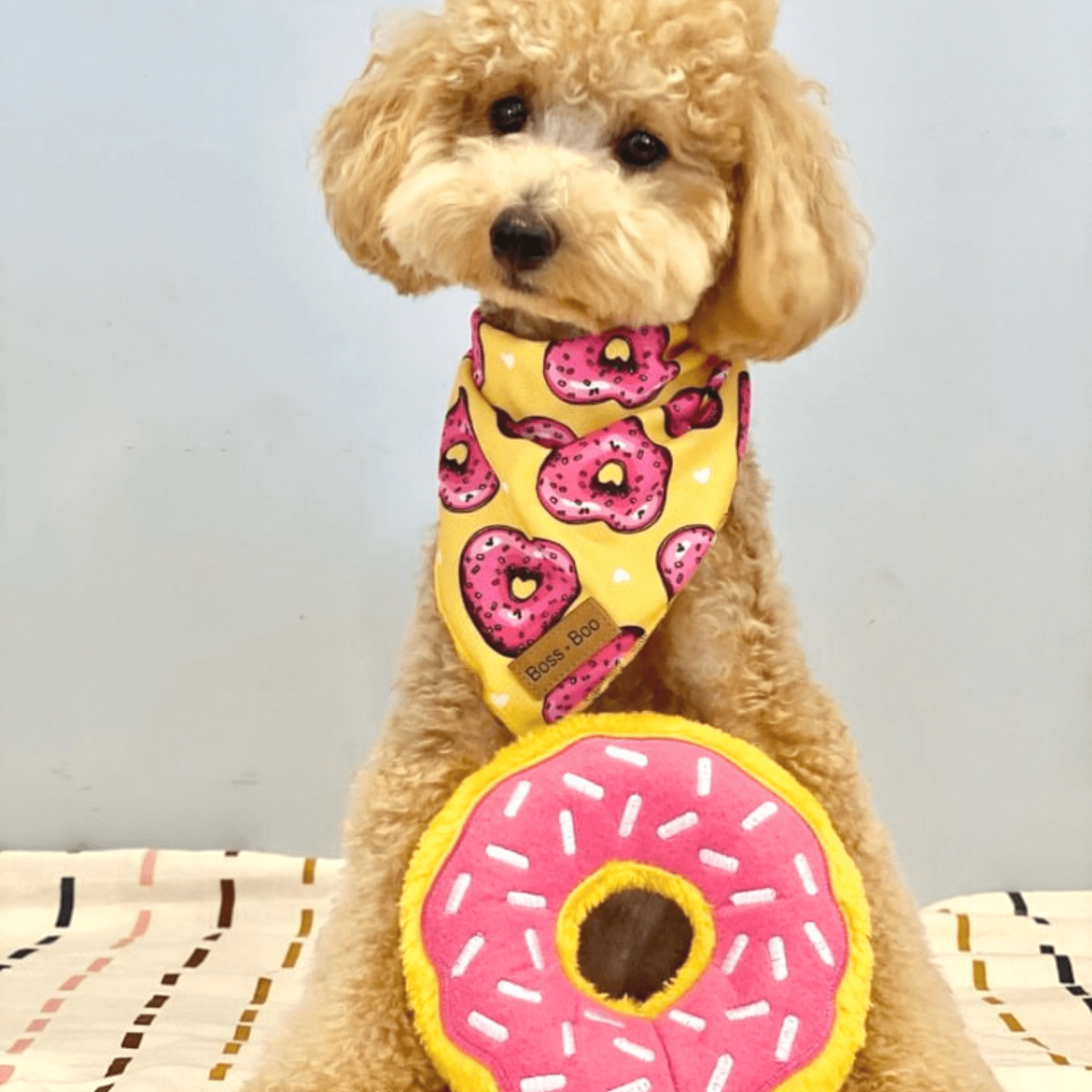 strawberry donut dog toy squeaker