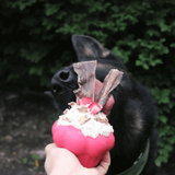 Durable dog toy, enrichment busts doggie boredom, let's pawty