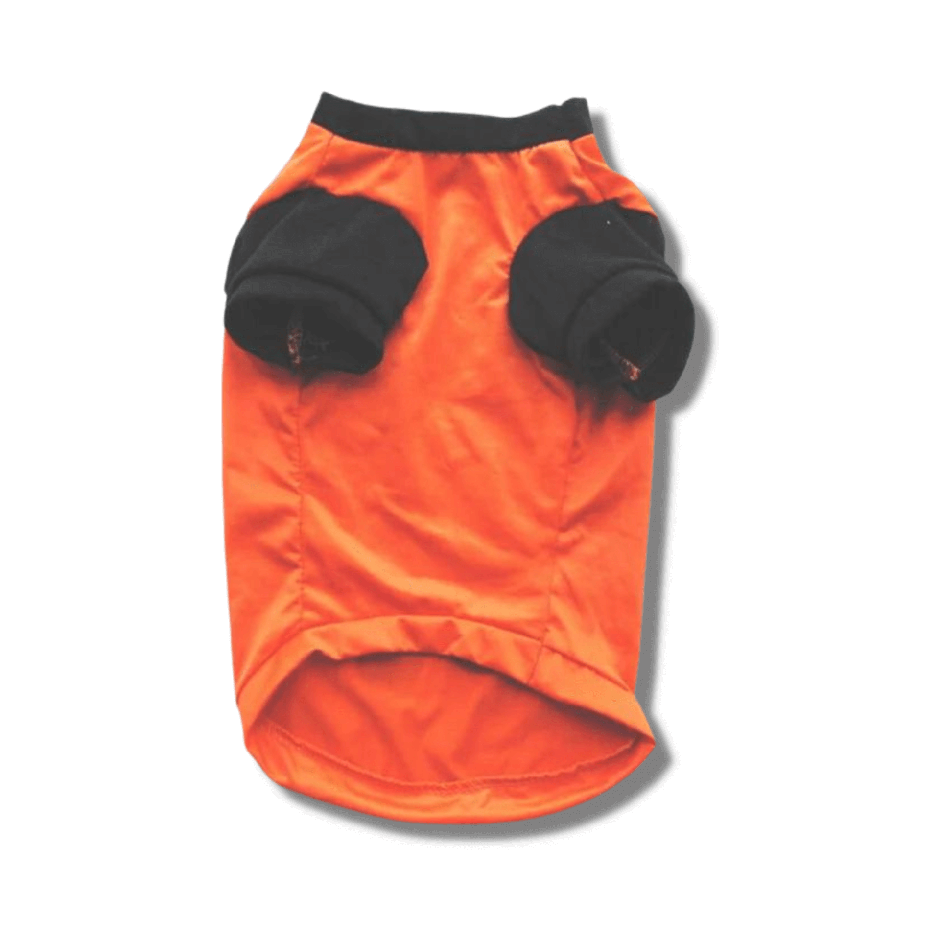 Dog T-shirt fashion Halloween themed