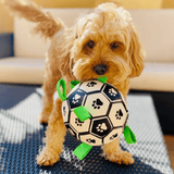 Let's Pawty Interactive dog soccer ball